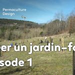 Suivi de la création d’un jardin forêt comestible en permaculture.