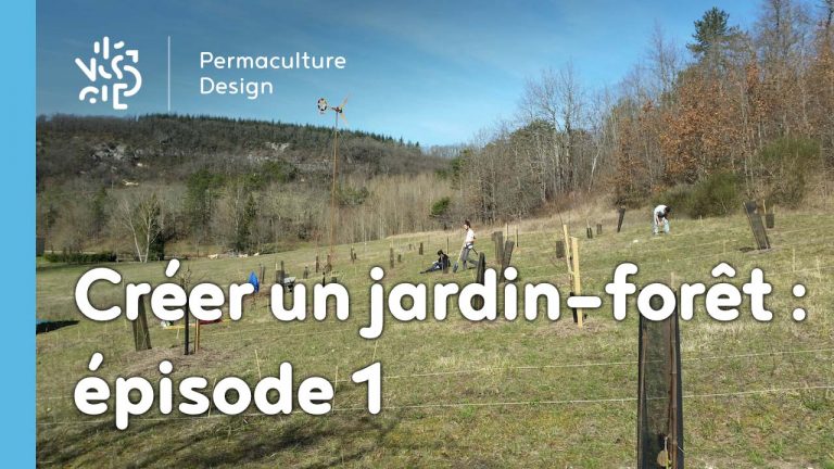 Suivi de la création d’un jardin forêt comestible en permaculture.