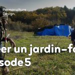 Bilan après un an d’organisation et de plantations pour créer un jardin-forêt comestible en permaculture au sein de la communauté du projet TERA.