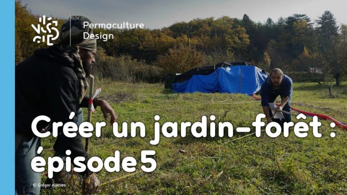 Bilan après un an d’organisation et de plantations pour créer un jardin-forêt comestible en permaculture au sein de la communauté du projet TERA.