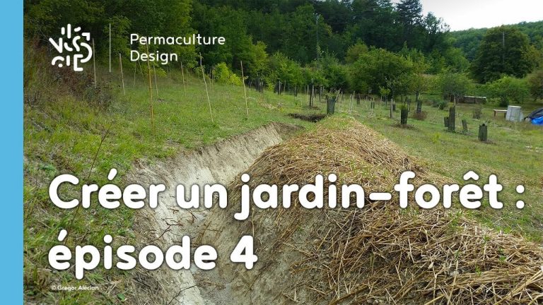 Suivi de la création d’un jardin-forêt comestible en permaculture au sein de la communauté du projet TERA.