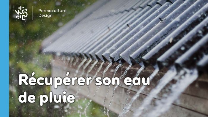 Dans un design de permaculture, récupérer et stocker l’eau de pluie sur son site sont des actions incontournables à bien réfléchir pour en optimiser l’efficacité en fonction de ses objectifs et son contexte.