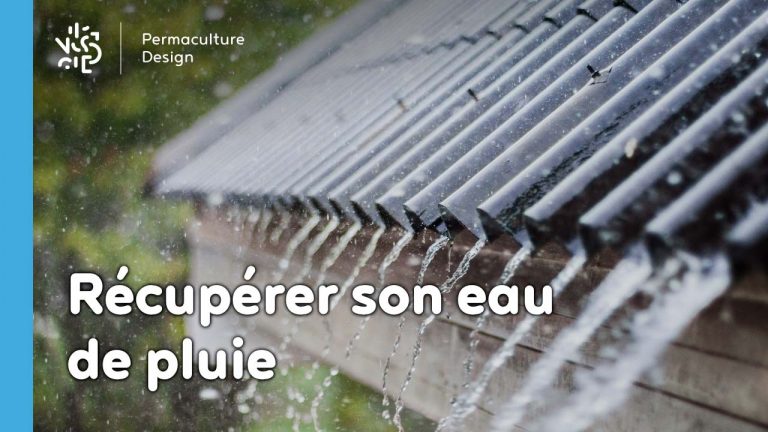 Dans un design de permaculture, récupérer et stocker l’eau de pluie sur son site sont des actions incontournables à bien réfléchir pour en optimiser l’efficacité en fonction de ses objectifs et son contexte.
