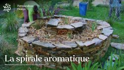 La spirale aromatique en permaculture est un genre de butte s’inspirant d’un modèle naturel très efficace pour créer, sur un espace restreint, plusieurs microclimats différents permettant l’installation de plantes aromatiques et médicinales très variées.