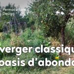 Julie et Ludovic ont réussi à transformer un verger classique en jardin d’abondance grâce au design de permaculture.