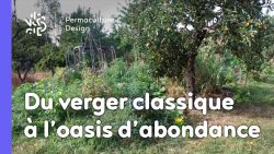 Julie et Ludovic ont réussi à transformer un verger classique en jardin d’abondance grâce au design de permaculture.