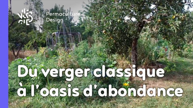 Julie et Ludovic ont réussi à transformer un verger classique en jardin d’abondance grâce au design de permaculture.