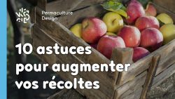10 astuces pour augmenter vos récoltes…