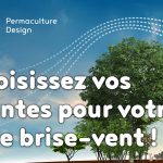 Faire un bon choix de plantes pour sa haie brise-vent en permaculture.