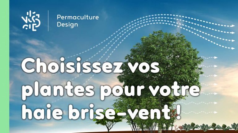 Faire un bon choix de plantes pour sa haie brise-vent en permaculture.