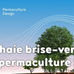 La haie brise-vent
