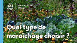 ​​Quel type de maraîcher devenir quand on se lance dans cette activité agricole : en conventionnel, en bio ou en permaculture ?