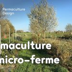​​Lauriane et Charles Durant, gérants de la Ferme du Vieux Poirier, nous expliquent comment et pourquoi ils ont transformé leur micro-ferme grâce à la permaculture.