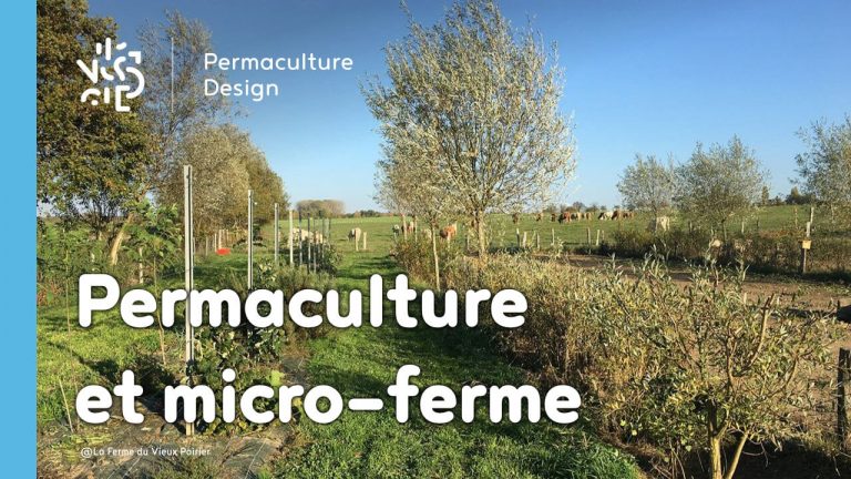 ​​Lauriane et Charles Durant, gérants de la Ferme du Vieux Poirier, nous expliquent comment et pourquoi ils ont transformé leur micro-ferme grâce à la permaculture.