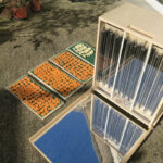 Construire un déshydrateur pour fruits et légumes séchés.