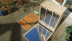 Construire un déshydrateur pour fruits et légumes séchés.