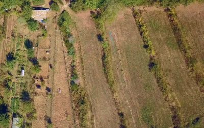 C’est quoi une baissière (swale) de permaculture ?