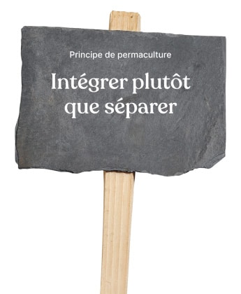 Principe de permaculture appliqué au potager.