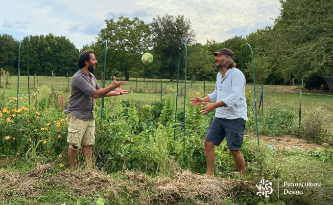 Récolter en jouant dans le potager en permaculture.