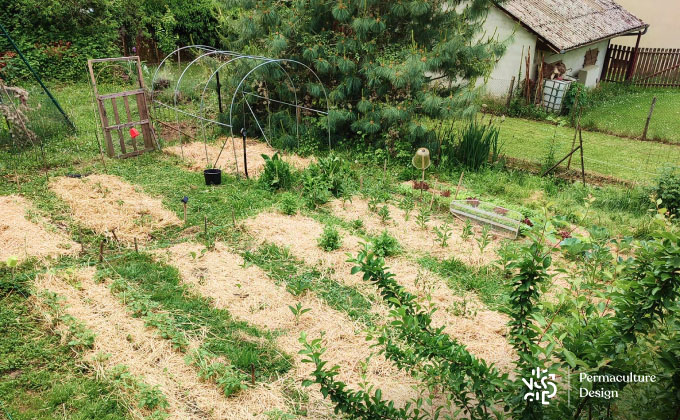 Potager en permaculture Perma+ chez Annick