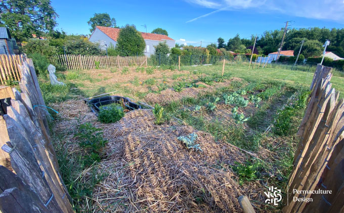 Potager en permaculture Perma+ chez Charlotte