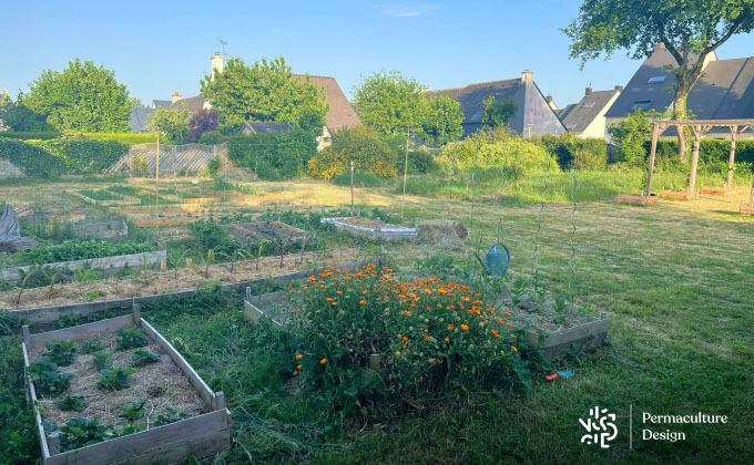 Potager en permaculture Perma+ chez Sébastien