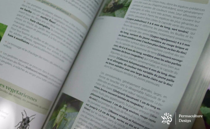Consultation du livre de Vincent Albouy « Jardinez avec les insectes » aux Éditions de Terran.