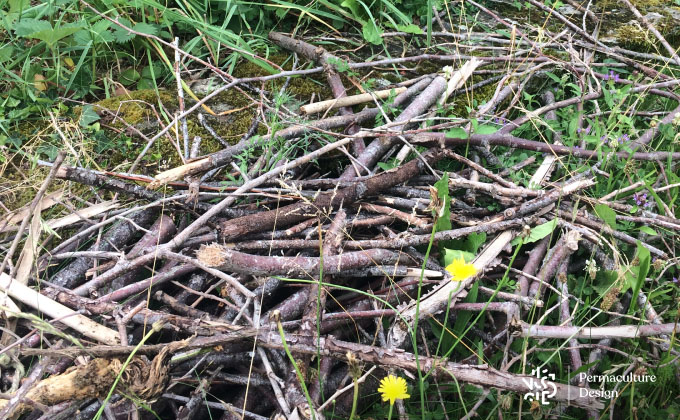 Tas de bois mort au jardin en permaculture.