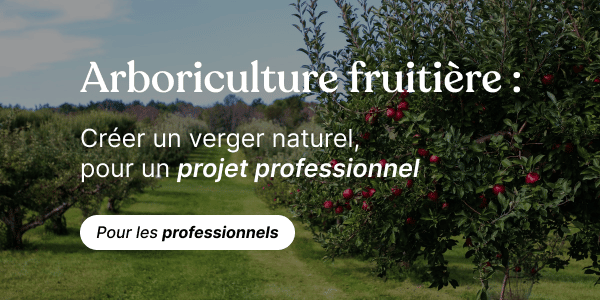 arboriculture fruitière pour créer son verger naturel pour un projet professionnel
