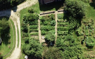 Comment commencer un jardin en permaculture ?