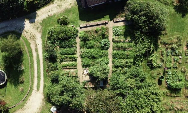 Comment commencer un jardin en permaculture ?