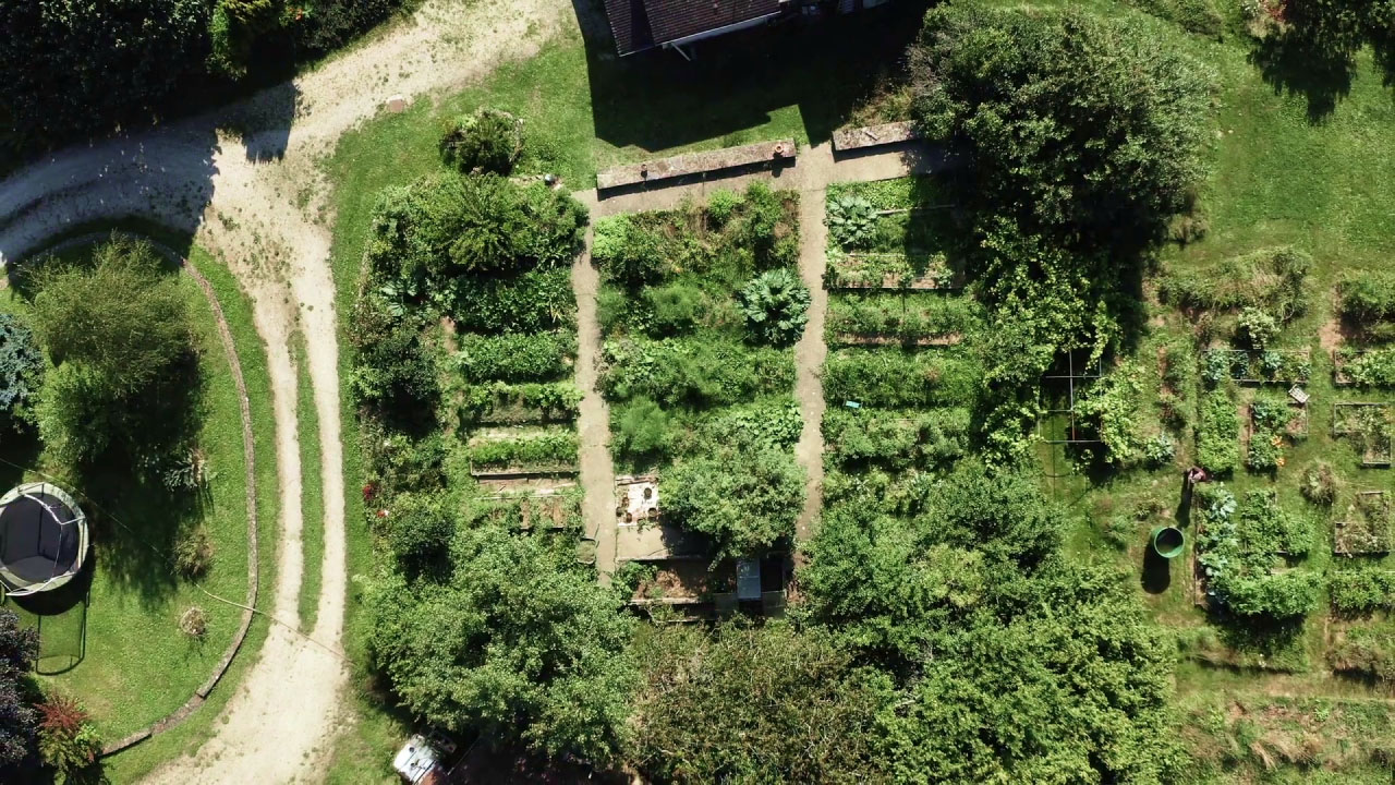 Faire un jardin: 7 conseils pratiques pour bien débuter!