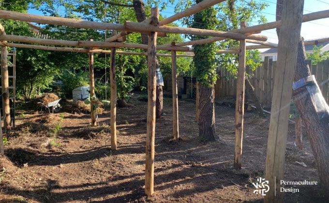 Pergola en cours de création dans un jardin en permaculture.