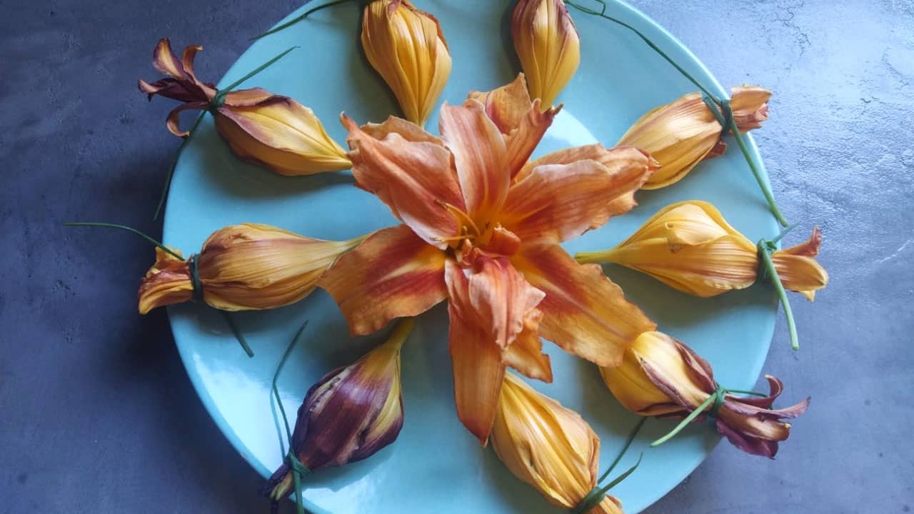 Fleurs comestibles pour décoration culinaire