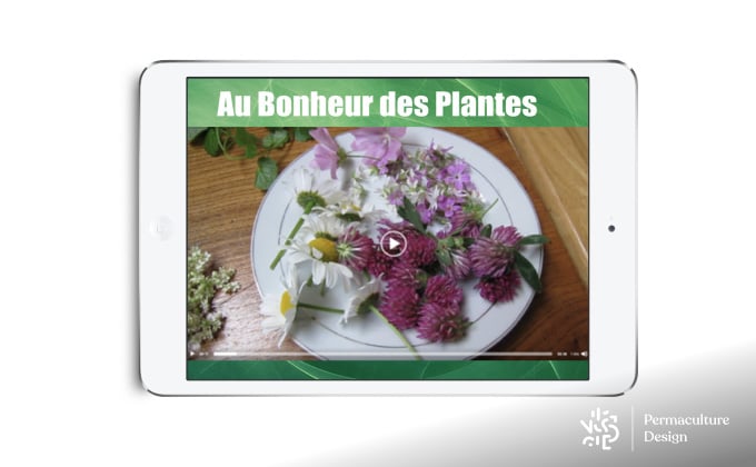 Formation en ligne sur les plantes sauvages comestibles et leurs utilisations.