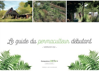Comment débuter votre jardin en permaculture ?