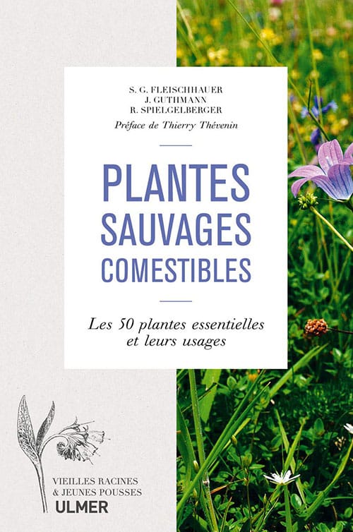 Mangez des fleurs comestibles : hémérocalle, bourrache…