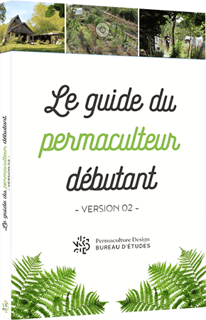 guide_perspective