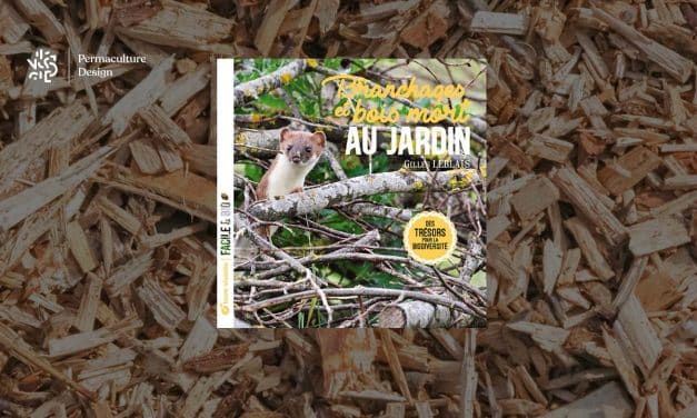 Livre Branchages et bois morts au jardin : des trésors pour la biodiversité