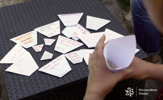 Graines de tomates anciennes séchées et mises en sachets papier.