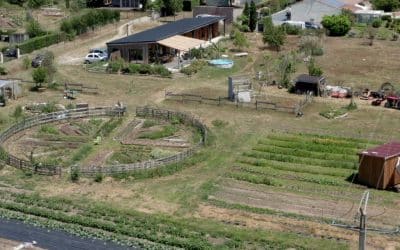 Micro-ferme en permaculture, retour d’expérience de Sophie et Yoann