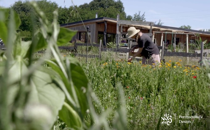 Sophie en train de faire sa cueillette des fleurs dans son jardin d’aromatiques.