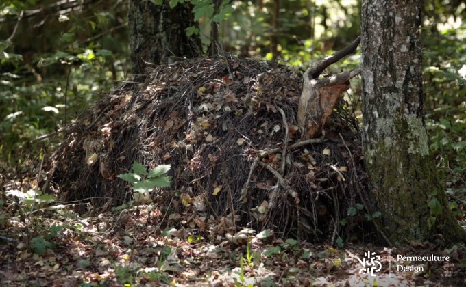 Tas de bois mort réalisé par Gilles Leblais dans son jardin Paradis pour attirer la biodiversité.