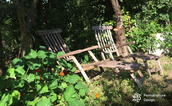 Coin détente du petit jardin en permaculture de Fabien en banlieue parisienne