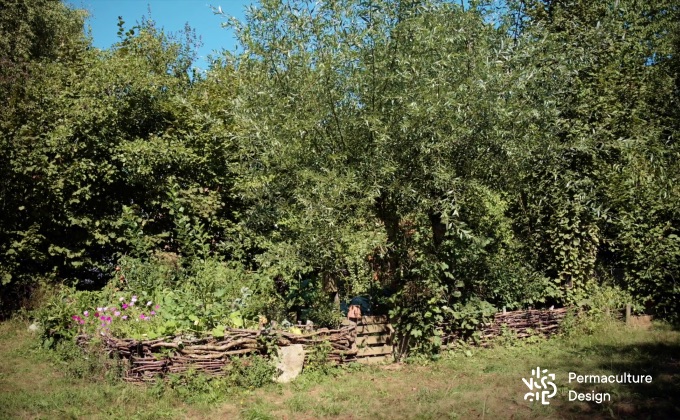 Trognes de saule marsault vieilles de 12 ans à l’entrée du petit potager.