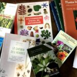 Sélection de 8 livres sur les plantes médicinales faite par un professionnel pour vous aider à avancer sereinement dans votre apprentissage.
