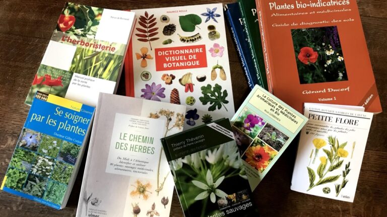 Sélection de 8 livres sur les plantes médicinales faite par un professionnel pour vous aider à avancer sereinement dans votre apprentissage.