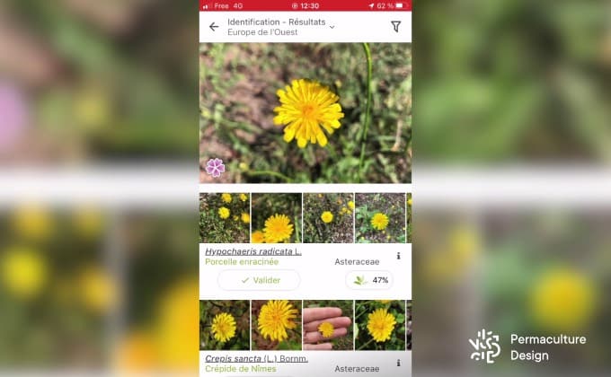 Exemple de recherche à partir d’une photo de fleur sur l’application Plantnet donnant plusieurs réponses possibles.