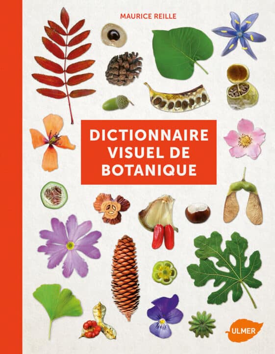 Le grand livre des plantes médicinales • Nature & Découvertes Suisse