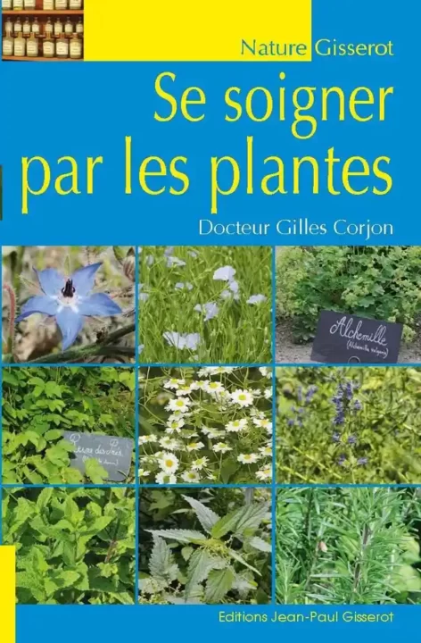 Alchémille: Vertus et Propriétés - Guide pratique - Phytothérapie